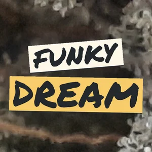 Funky Dream Cannabis Strain