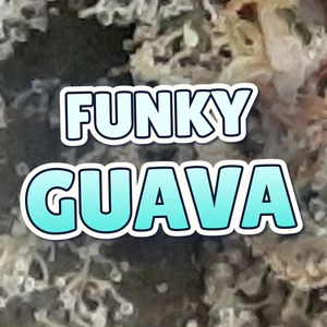 Funky Guava Cannabis Strain