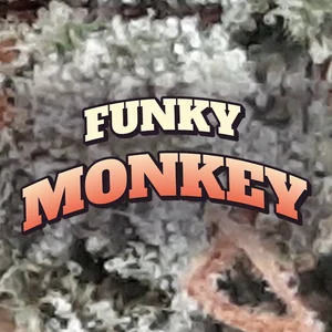 Funky Monkey Cannabis Strain