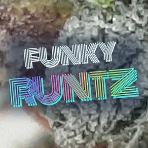 Funky Runtz Cannabis Strain