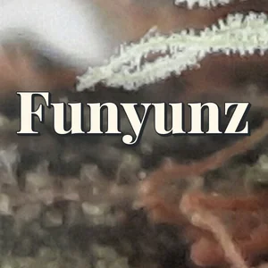 Funyunz Cannabis Strain