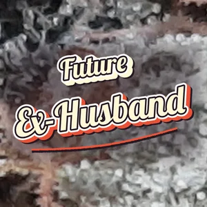 Future Ex-Husband Cannabis Strain