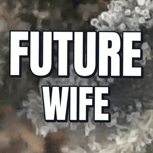 Future Wife Cannabis Strain