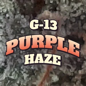 G-13 Purple Haze Cannabis Strain