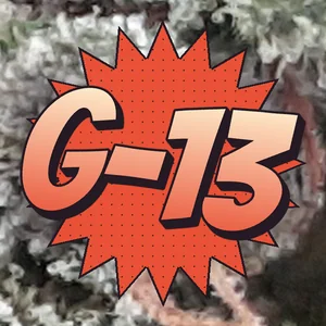 G-13 Cannabis Strain