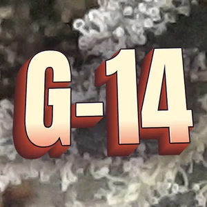 G-14 Cannabis Strain