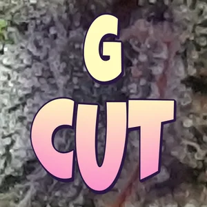 G Cut Cannabis Strain