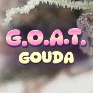 G.O.A.T. Gouda Cannabis Strain