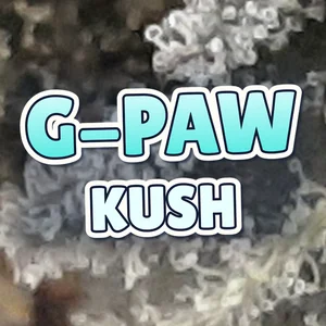 G-Paw Kush Cannabis Strain