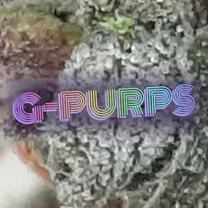G-Purps Cannabis Strain
