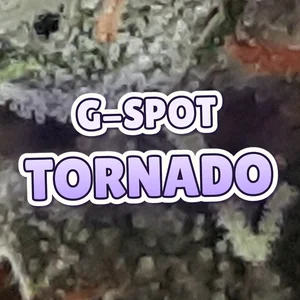 G-Spot Tornado Cannabis Strain