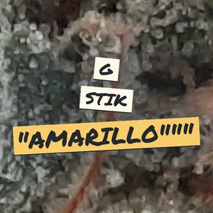 G Stik "Amarillo" Cannabis Strain