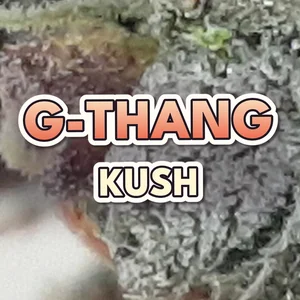 G-Thang Kush Cannabis Strain