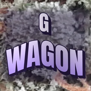 G Wagon Cannabis Strain