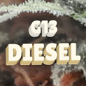 G13 Diesel Cannabis Strain