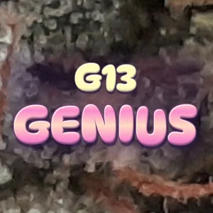 G13 Genius Cannabis Strain