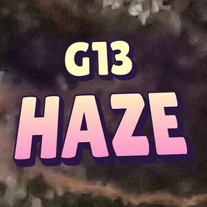 G13 Haze Cannabis Strain