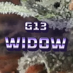 G13 Widow Cannabis Strain