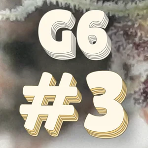 G6 #3 Cannabis Strain