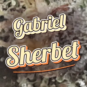 Gabriel Sherbet Cannabis Strain