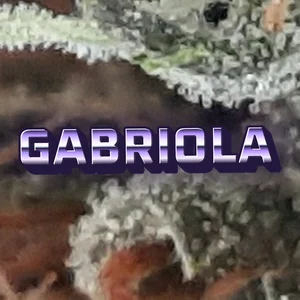 Gabriola Cannabis Strain