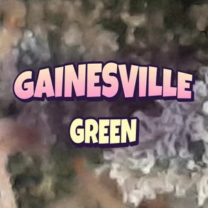 Gainesville Green Cannabis Strain
