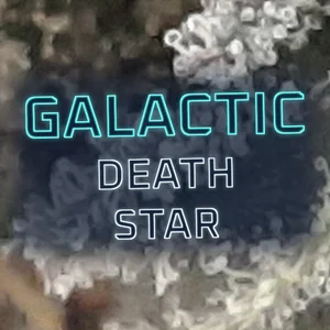 Galactic Death Star Cannabis Strain