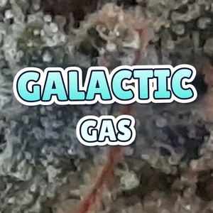 Galactic Gas Cannabis Strain