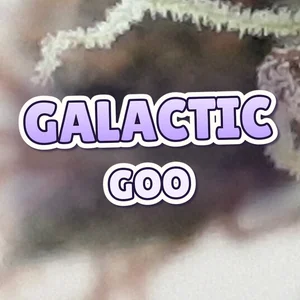 Galactic Goo Cannabis Strain