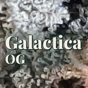 Galactica OG Cannabis Strain