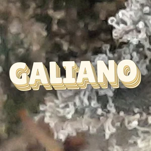 Galiano Cannabis Strain