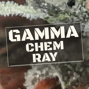 Gamma Chem Ray Cannabis Strain