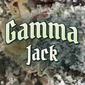 Gamma Jack Cannabis Strain