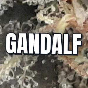 Gandalf Cannabis Strain