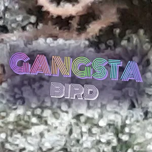 Gangsta Bird Cannabis Strain