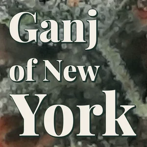 Ganj of New York Cannabis Strain