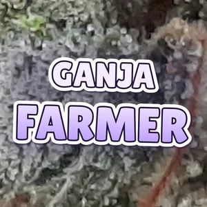 Ganja Farmer Cannabis Strain