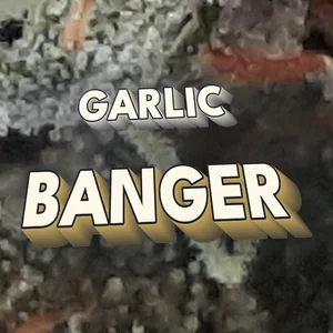 Garlic Banger Cannabis Strain