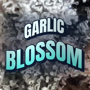 Garlic Blossom Cannabis Strain