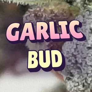 Garlic Bud Cannabis Strain