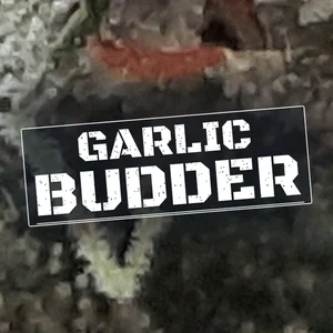 Garlic Budder Cannabis Strain