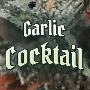 Garlic Cocktail Cannabis Strain