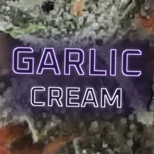 Garlic Cream Cannabis Strain