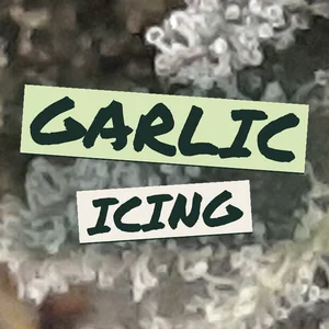 Garlic Icing Cannabis Strain
