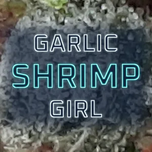 Garlic Shrimp Girl Cannabis Strain