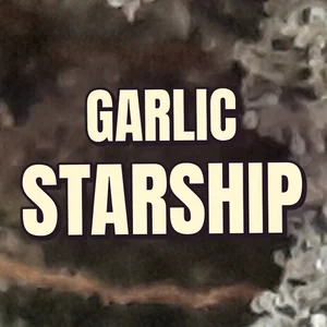 Garlic Starship Cannabis Strain