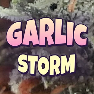 Garlic Storm Cannabis Strain