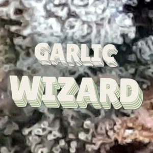 Garlic Wizard Cannabis Strain