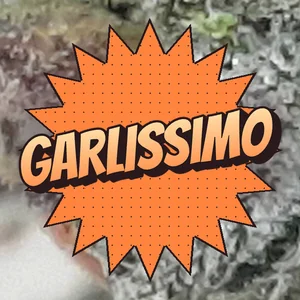 Garlissimo Cannabis Strain