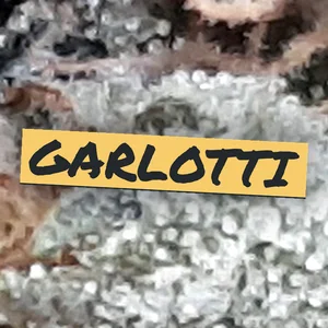 Garlotti Cannabis Strain